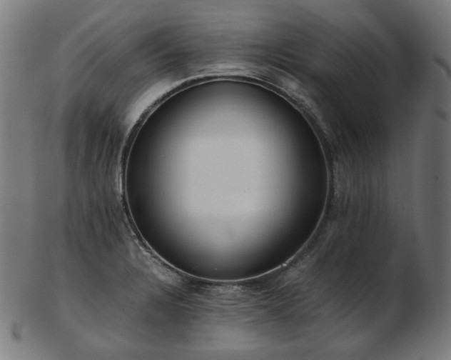 X0000103481328200809121641