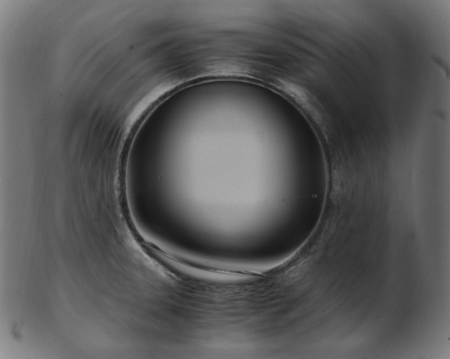 X0000103481331200809121641