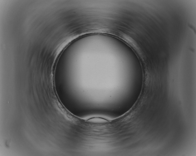 X0000103481332200809121641