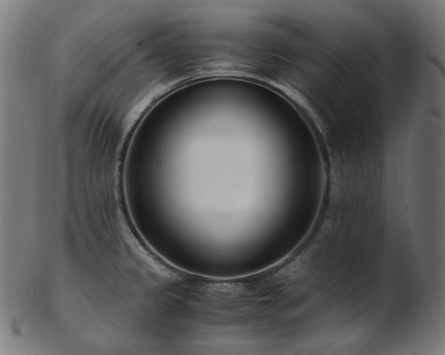 X0000103481333200809121641