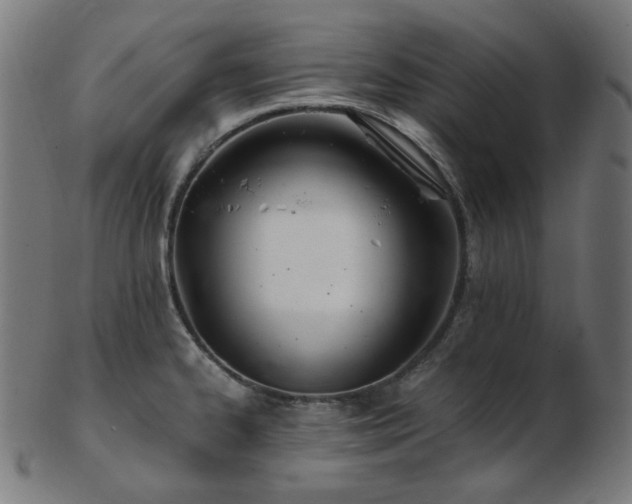 X0000103481334200809121641