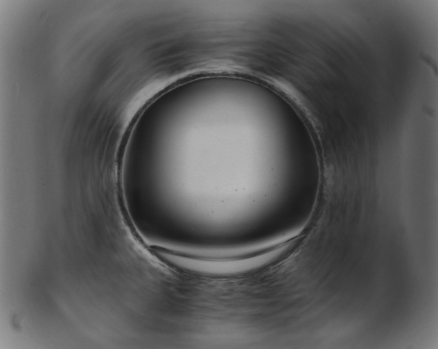 X0000103481335200809121641