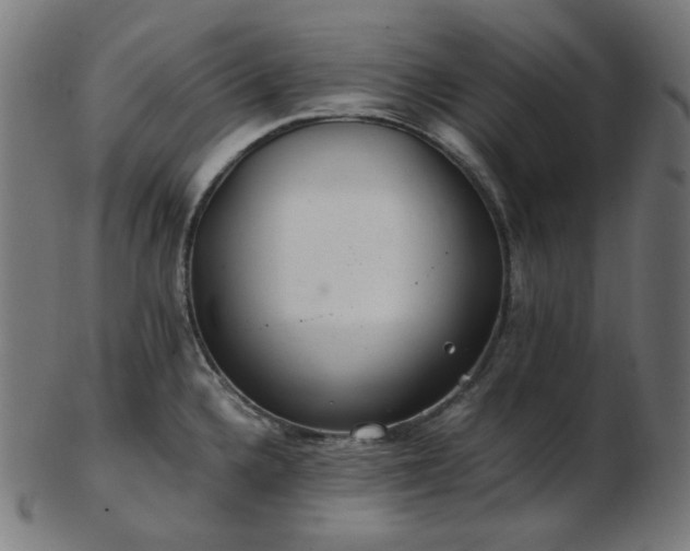 X0000103481336200809121641