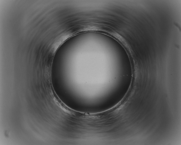 X0000103481337200809121641