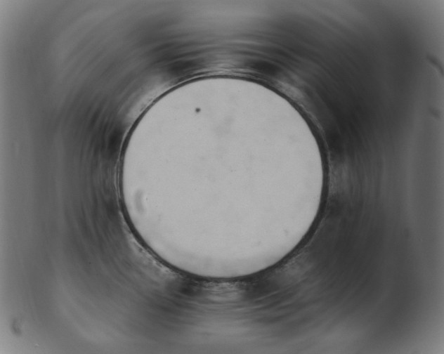 X0000103481338200809121641