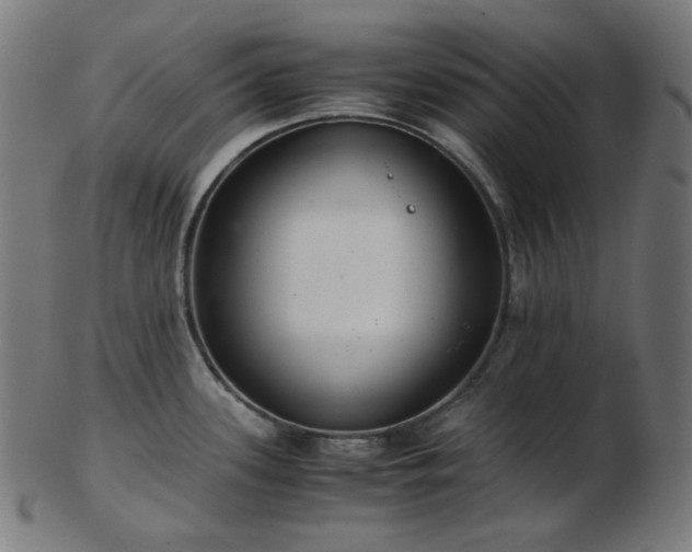 X0000103481339200809121641