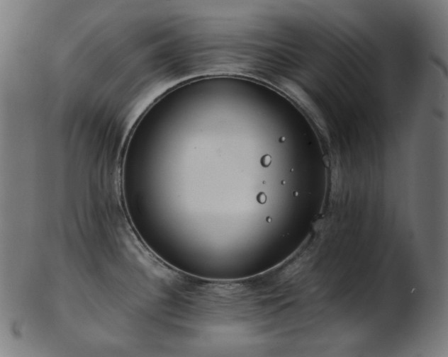 X0000103481340200809121641