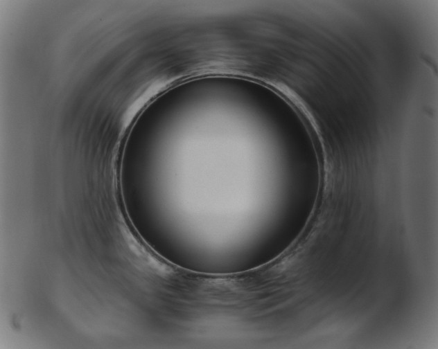 X0000103481341200809121641