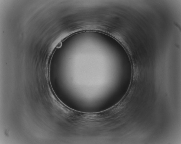 X0000103481342200809121641