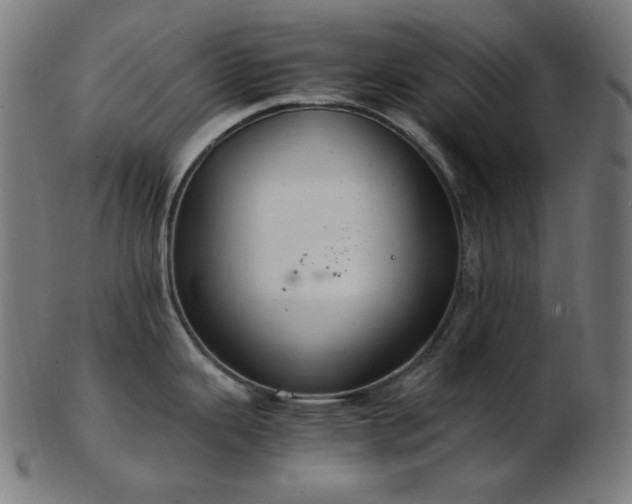 X0000103481343200809121641