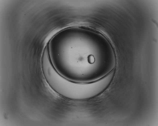 X0000103481344200809121641