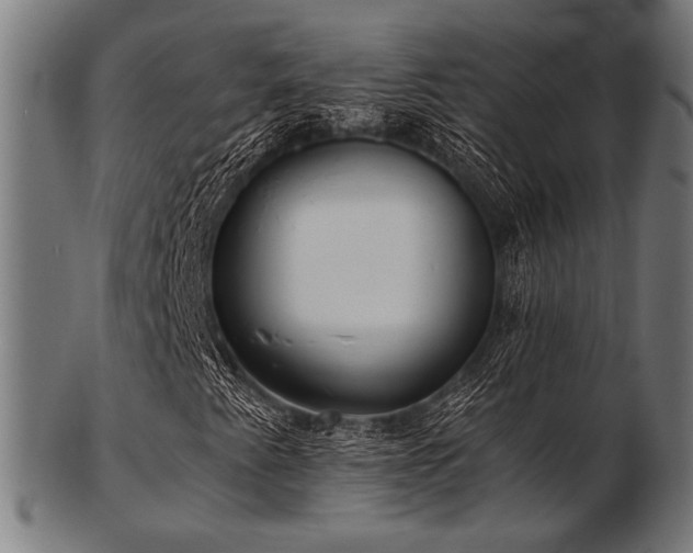 X0000103481345200809121641