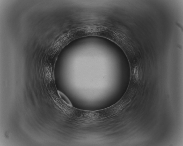 X0000103481348200809121641