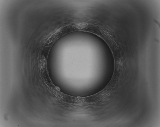 X0000103481349200809121641