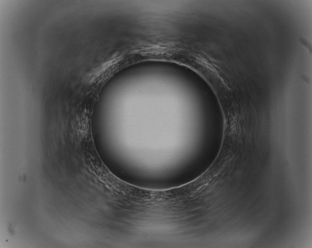 X0000103481350200809121641