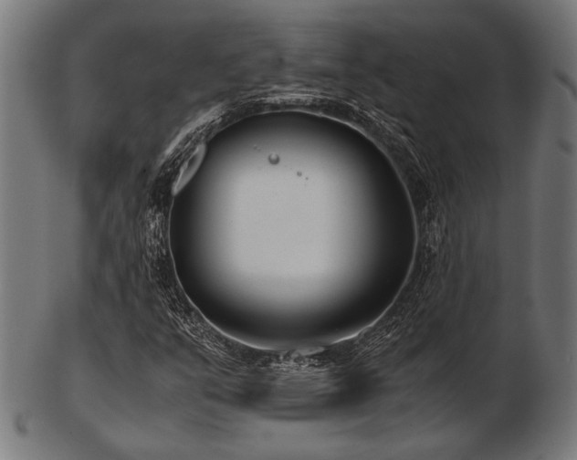 X0000103481351200809121641