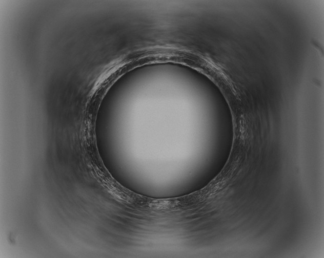 X0000103481352200809121641