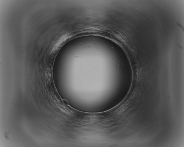 X0000103481355200809121641