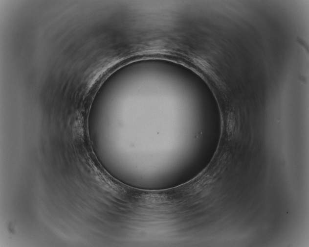 X0000103481356200809121641