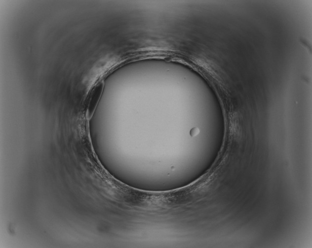 X0000103481357200809121641