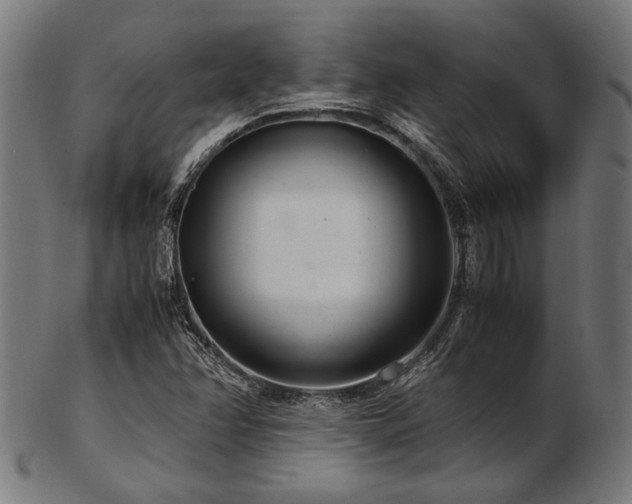 X0000103481358200809121641