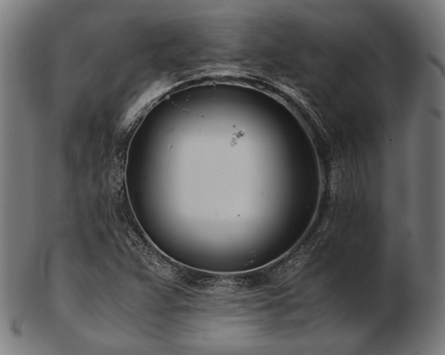 X0000103481359200809121640