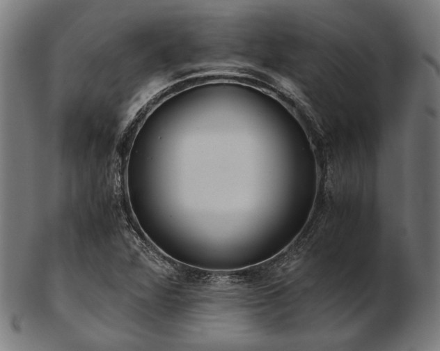 X0000103481360200809121640