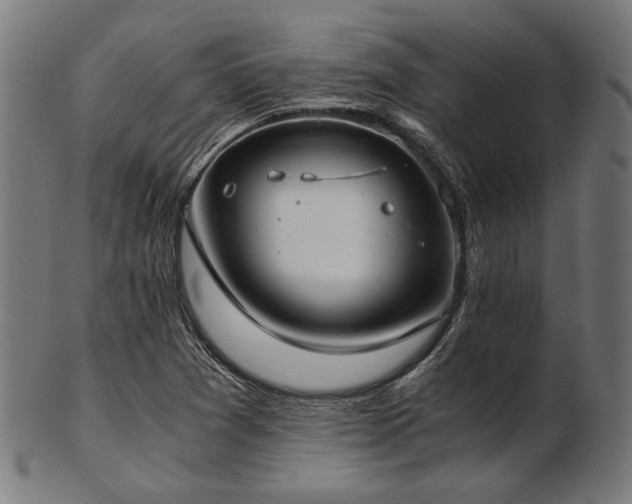 X0000103481361200809121640