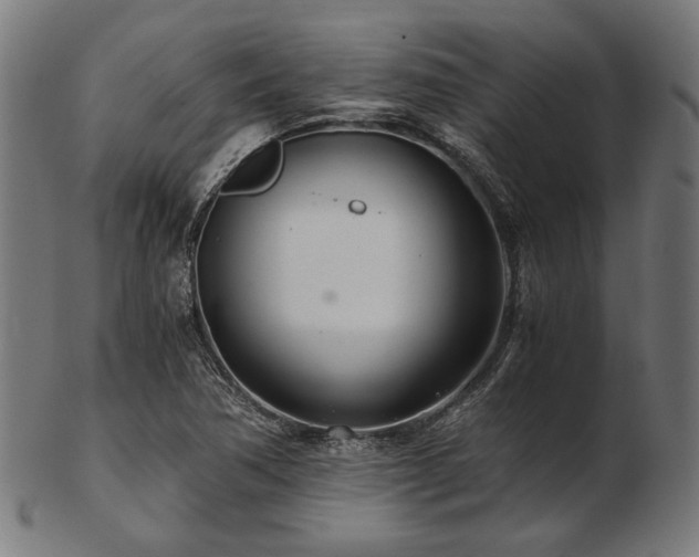 X0000103481362200809121640