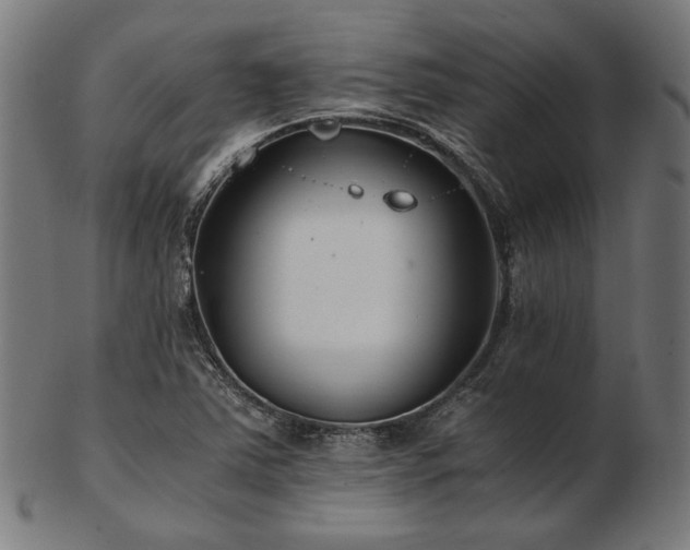 X0000103481363200809121640