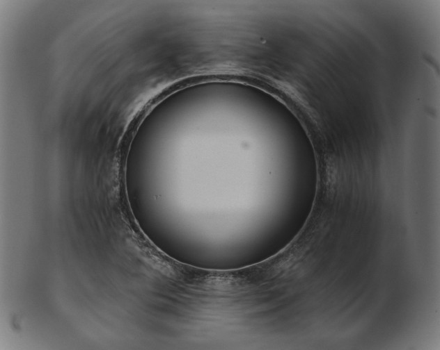 X0000103481364200809121640