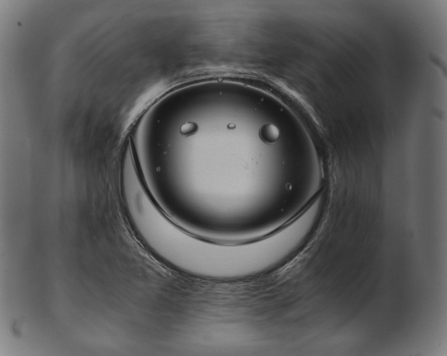 X0000103481365200809121640