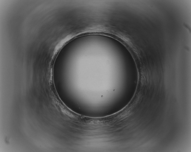 X0000103481366200809121640