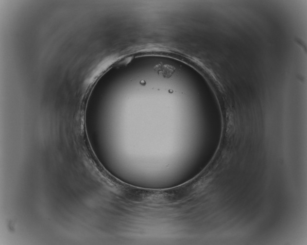 X0000103481367200809121640