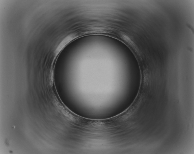 X0000103481370200809121640