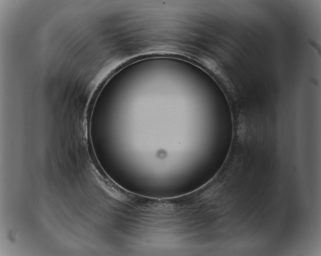 X0000103481372200809121640