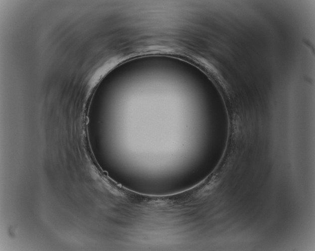 X0000103481373200809121640