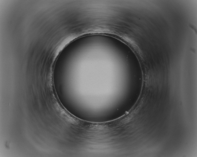 X0000103481374200809121640