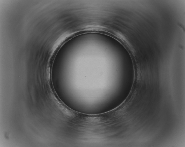 X0000103481376200809121640