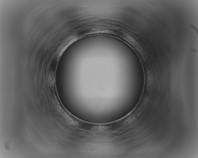 X0000103481377200809121640