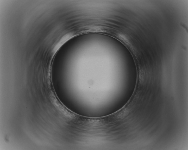 X0000103481378200809121640