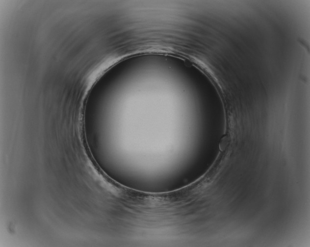 X0000103481379200809121640