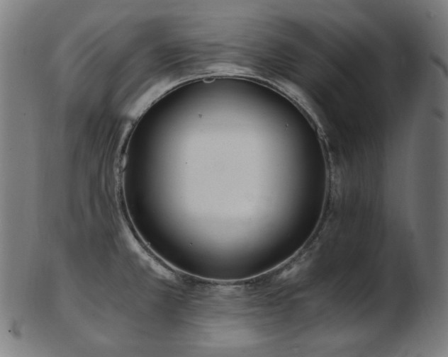 X0000103481381200809121640