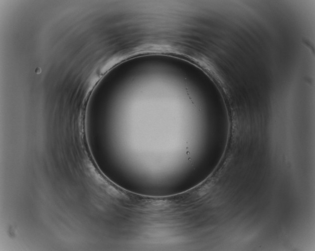X0000103481382200809121640
