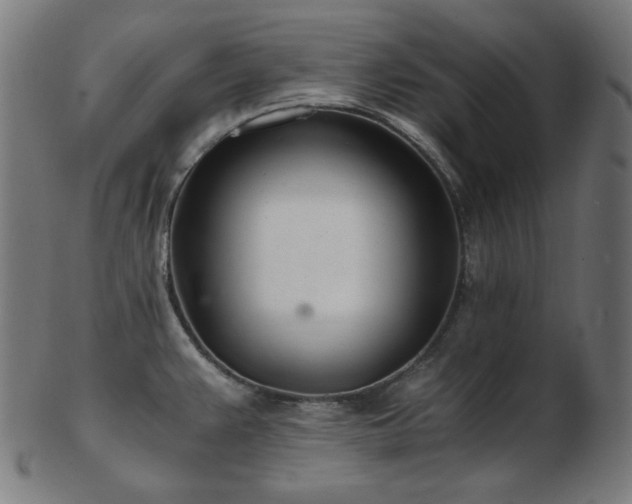 X0000103481383200809121640