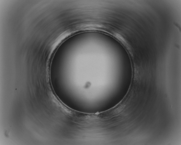 X0000103481384200809121640