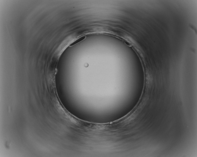 X0000103481385200809121640