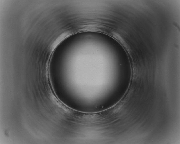 X0000103481386200809121640