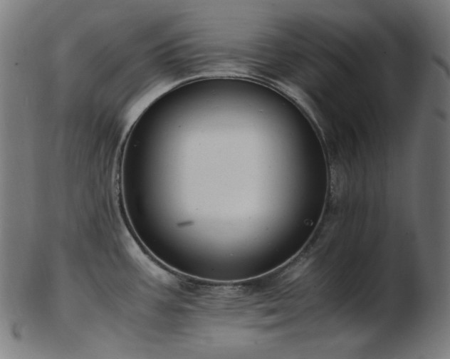 X0000103481387200809121640