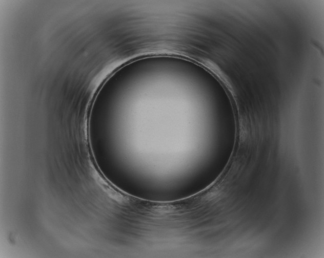 X0000103481388200809121640